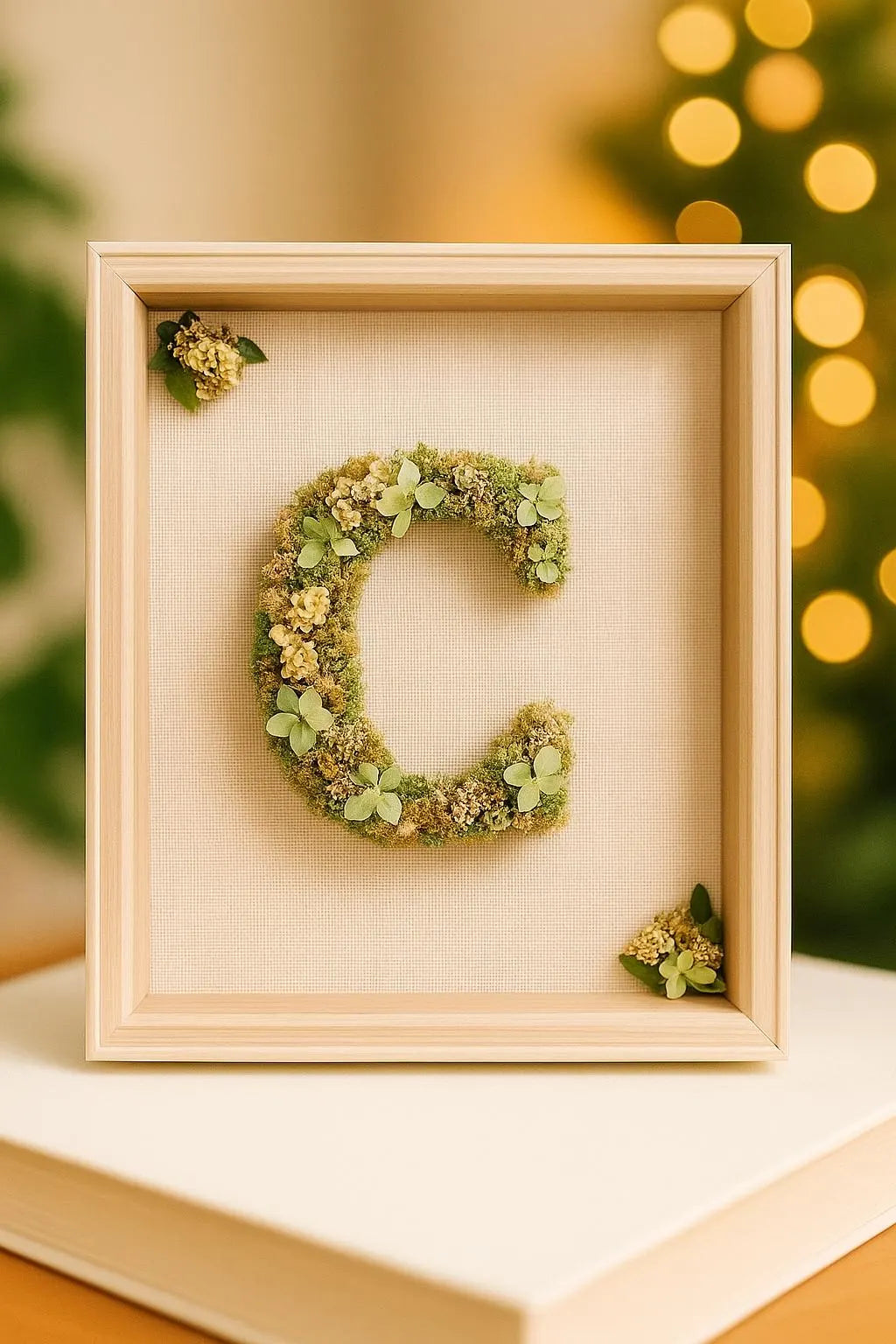 Inicial personalizada (27x23x3cm)